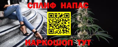 apvp Ливны