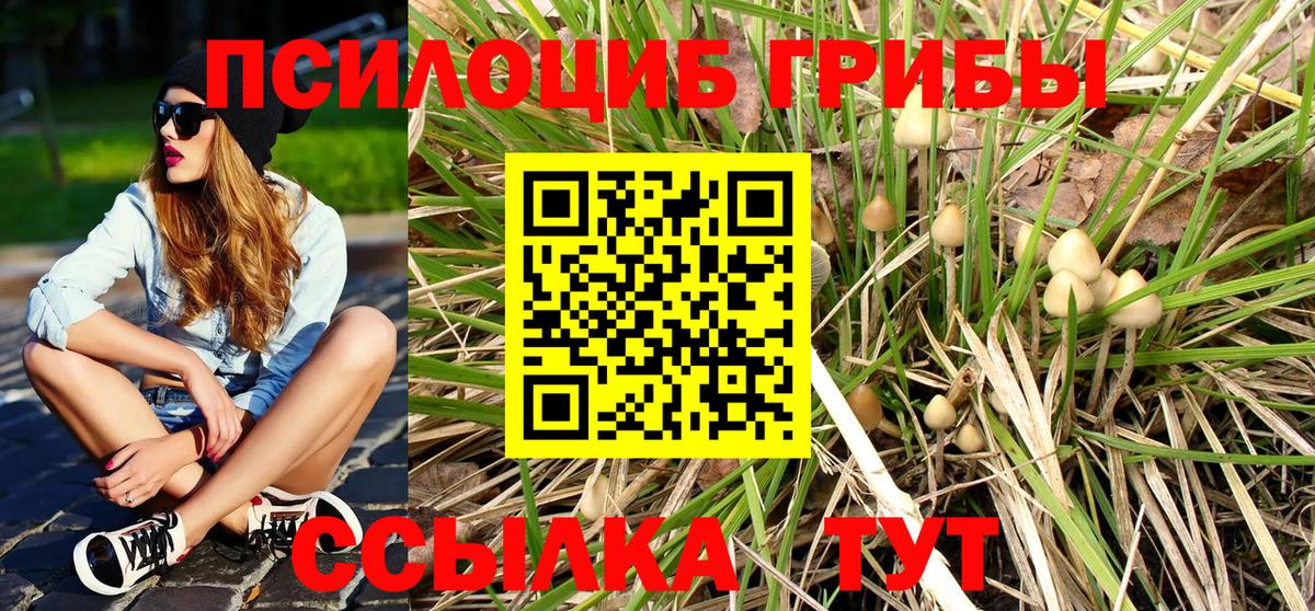 Псилоцибиновые грибы Тамбов